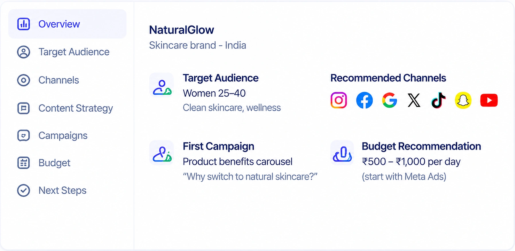 Your advertising plan overview with target audience, channels, campaign, and budget recommendations